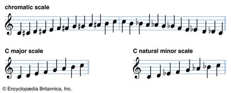 What Does Major and Minor Mean in Music? - An Exploration of Musical Terms