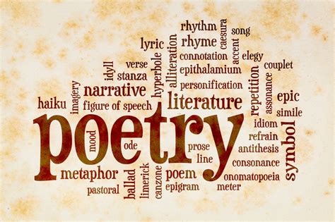 what is voice in poetry what does it reveal about the poet's emotions and experiences